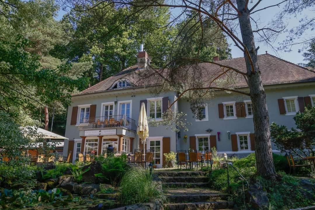 Hotel Und Restaurant Halbinsel 블리에스카스텔 외부 사진